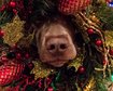 thumb-image-2024-02-29T14:01:22.529Z