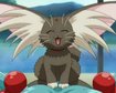 thumb-image-2024-02-29T14:01:22.757Z