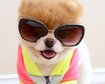 thumb-image-2024-02-29T14:01:22.856Z