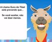 thumb-image-2024-02-29T14:01:23.445Z