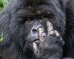 thumb-image-2024-02-29T14:01:23.595Z