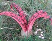 thumb-image-2024-02-29T14:01:24.002Z