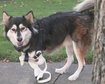 thumb-image-2024-02-29T14:01:24.014Z
