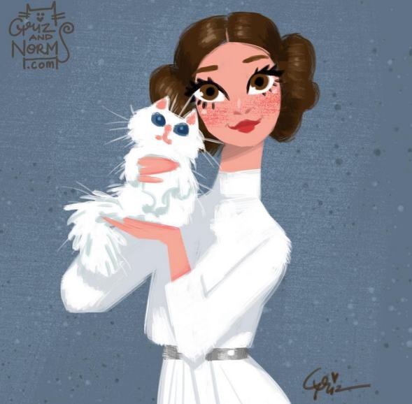 Como seria se personagens de Star Wars adotassem gatinhos?