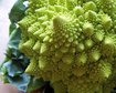 thumb-image-2024-02-29T14:01:24.179Z