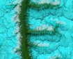 thumb-image-2024-02-29T14:01:24.667Z