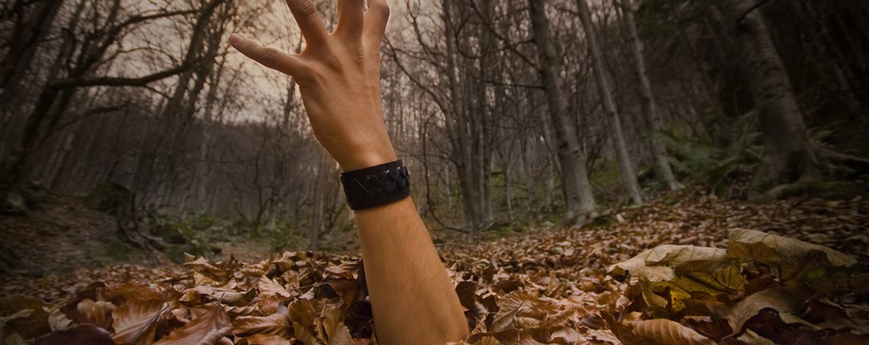 thumb-image-2024-02-29T14:01:24.946Z