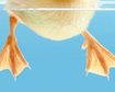 thumb-image-2024-02-29T14:01:25.704Z