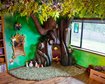 thumb-image-2024-02-29T14:01:26.685Z