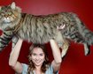 thumb-image-2024-02-29T14:01:26.769Z