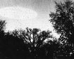 thumb-image-2024-02-29T14:01:27.500Z