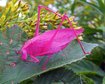 thumb-image-2024-02-29T14:01:27.585Z