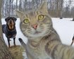 thumb-image-2024-02-29T14:01:28.650Z