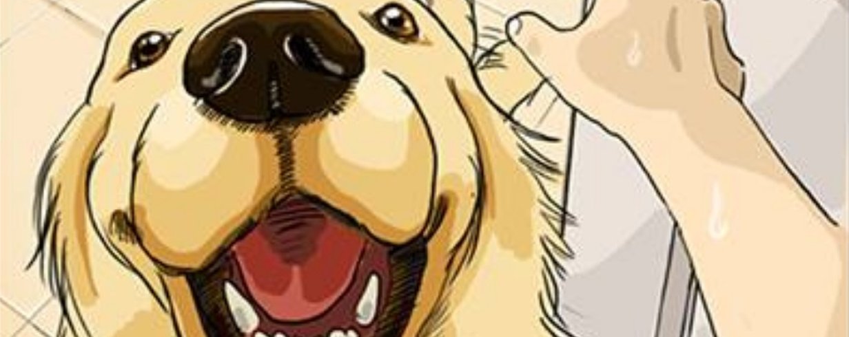 thumb-image-2024-02-29T14:01:28.997Z
