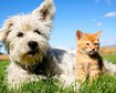 thumb-image-2024-02-29T14:01:29.340Z