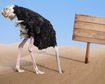 thumb-image-2024-02-29T14:01:29.773Z