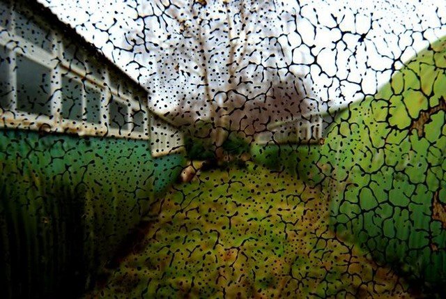 7 campos de treinamento militar abandonados