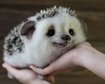 thumb-image-2024-02-29T14:01:30.509Z