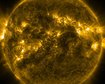 thumb-image-2024-02-29T14:01:30.623Z