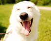 thumb-image-2024-02-29T14:01:30.585Z