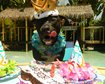 thumb-image-2024-02-29T14:01:31.023Z