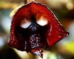 thumb-image-2024-02-29T14:01:31.389Z