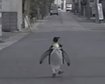 thumb-image-2024-02-29T14:01:31.421Z