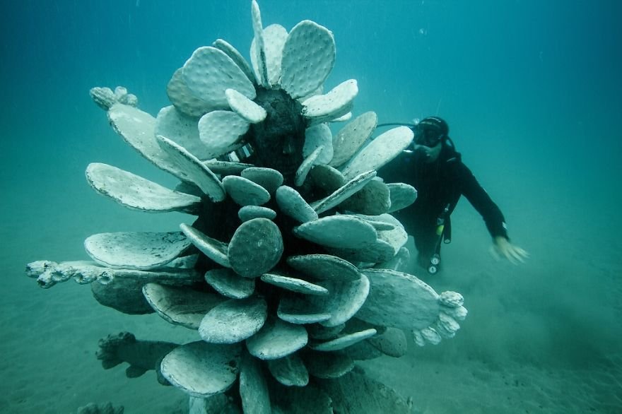 Museu submerso no Atlântico servirá como galeria e recife artificial