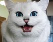 thumb-image-2024-02-29T14:01:31.882Z