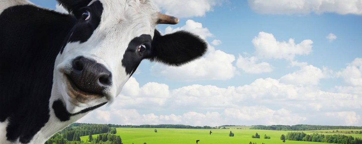 thumb-image-2024-02-29T14:01:32.275Z
