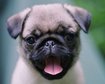 thumb-image-2024-02-29T14:01:32.321Z