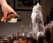 thumb-image-2024-02-29T14:01:32.538Z