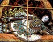 thumb-image-2024-02-29T14:01:32.576Z