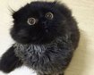 thumb-image-2024-02-29T14:01:32.927Z