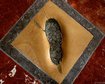 thumb-image-2024-02-29T14:01:33.037Z