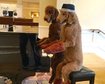 thumb-image-2024-02-29T14:01:33.319Z