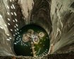 thumb-image-2024-02-29T14:01:33.373Z