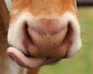 thumb-image-2024-02-29T14:01:33.519Z