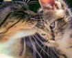 thumb-image-2024-02-29T14:01:33.809Z