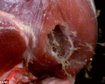thumb-image-2024-02-29T14:01:34.065Z