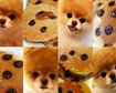 thumb-image-2024-02-29T14:01:34.623Z