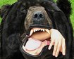 thumb-image-2024-02-29T14:01:34.699Z
