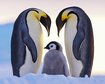 thumb-image-2024-02-29T14:01:34.964Z