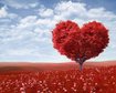 thumb-image-2024-02-29T14:01:35.001Z