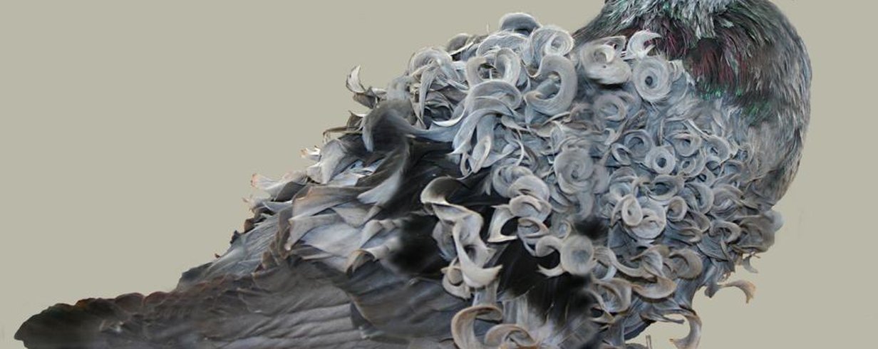thumb-image-2024-02-29T14:01:35.093Z