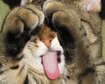 thumb-image-2024-02-29T14:01:35.301Z