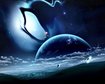 thumb-image-2024-02-29T14:01:35.350Z