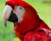 thumb-image-2024-02-29T14:01:35.523Z