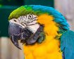 thumb-image-2024-02-29T14:01:35.563Z