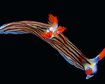 thumb-image-2024-02-29T14:01:36.669Z